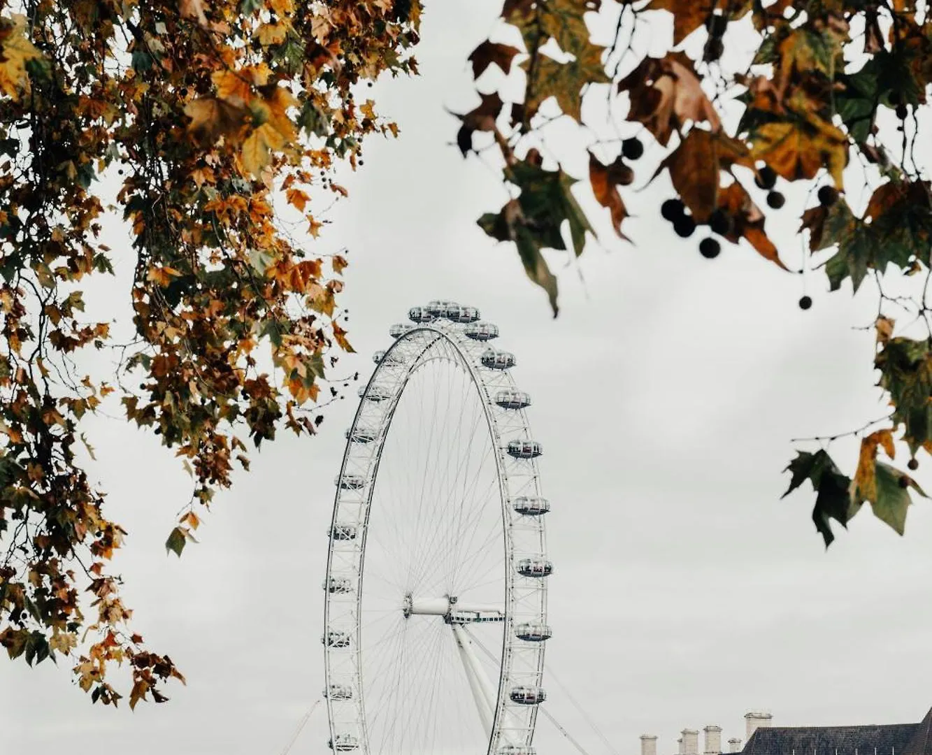 Chic Rooms In Spitalfields, لندن بيت ضيافة
